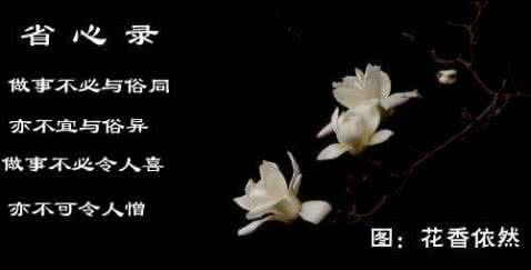 心态决定命运 心与心态 命与命运 人与人生【图文音画】