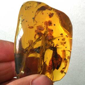 虫珀收藏价值 虫珀的价值 虫珀价值体现及鉴定原则