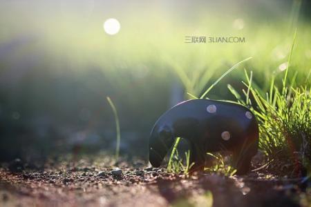 坦然面对生活的例子 坦然面对生活中的一切的哲理