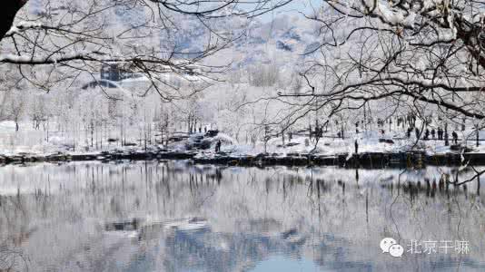 深秋季节还是北京最美 最浪漫的季节，谁陪你看北京最美的雪