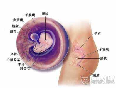 月经刚完就同房怀孕了 月经刚完同房怀孕了 月经刚完同房会怀孕吗