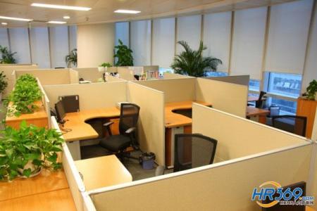 办公室提高工作效率 办公室内的植物摆设能使员工提高工作效率？