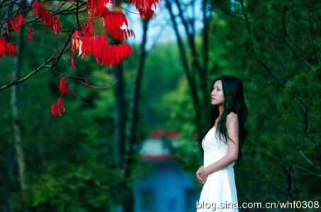 滚滚红尘东逝水 逝水红尘 浅秋如歌【情感美文】