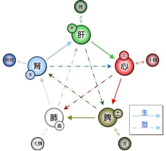 五脏排毒法 黄帝内经 黄帝内经中五行与五脏的关系