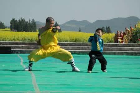 固肾功 祛病固肾功法:外丹功