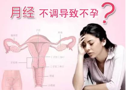 女性调理食谱 月经不调怎么调理啊 女性月经不调调理食谱
