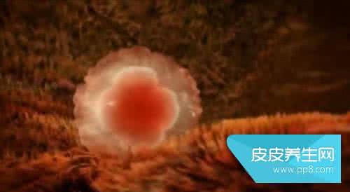 受精卵着床失败 导致受精卵着床失败的原因有哪些