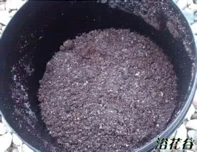 豆渣沤肥新方法 豆渣沤肥无臭无虫无翻拌傻瓜方法