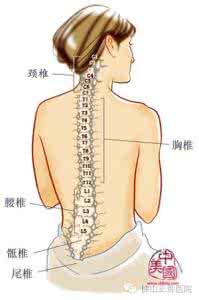 脊柱性关节病 脊柱骨关节病