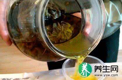 冬虫夏草泡酒配方比例 冬虫夏草泡酒六大配方及功效