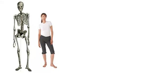 影响骨骼肌收缩的因素 【骨骼健康】你知道哪些因素会危害到我们的骨骼健康吗？