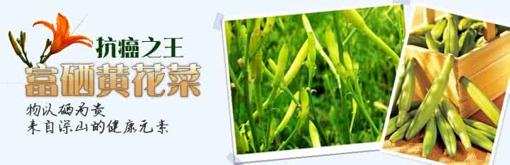 抗癌防癌蔬菜排行榜 它是蔬菜界的抗癌之王，这样做，好吃又营养