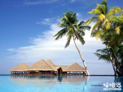 马尔代夫风俗 五一出游马尔代夫必知历史文化宗教风俗