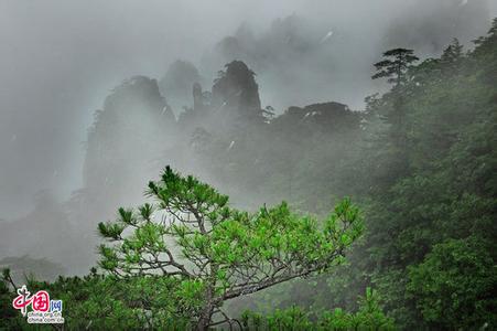 黄山水墨画 雨中黄山别样美 朦胧中更显水墨味道(图)