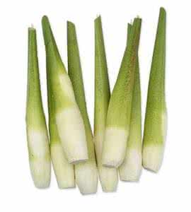 茭白是发物吗 茭白是发物吗？什么是发物？