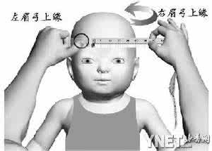 大脑发育不全的症状 大脑发育不全的症状 精神发育不全有哪些症状