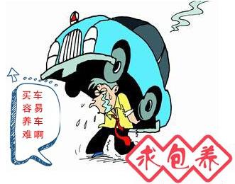 养车一年要花多少钱 养车!你一年到底花了多少冤枉钱?
