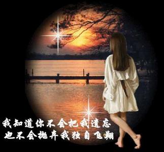 醉夜心情 醉夜心情 夜的心思，醉你在心