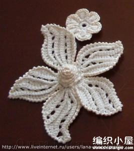 爱尔兰谷花心钩针法 爱尔兰钩花教程-凸心的五叶花