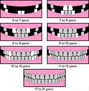 儿童换牙时间和顺序 儿童换牙的时间与顺序