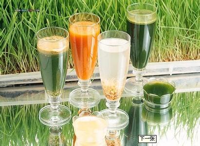 清肺润肺食物 图说：桑菊清肺饮  |  清肺润肺 缓解春燥