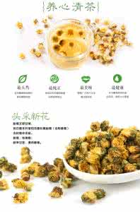 胎菊花茶的功效与作用 胎菊花茶的功效与禁忌 胎菊花茶的功效与作用