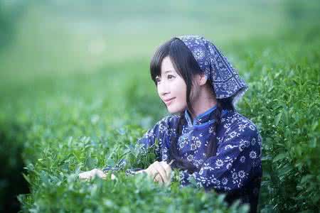 毒药姑娘 减肥 懂茶的姑娘像毒药,记得要远离她