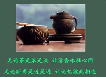 书香茶韵 书香茶韵品情爱人生