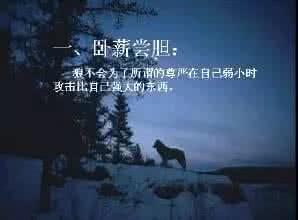 狼的十大处世哲学 傻子的处世哲学