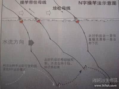 浮游矶钓基础知识 浮游矶钓基础知识之三——钓线