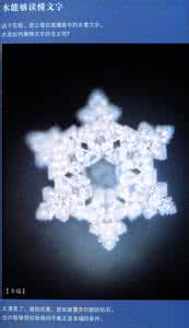 水知道答案读后感 水知道答案读后感 《水知道答案》读后感_水知道答案读后感