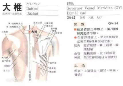 感冒艾灸什么穴位 穴位妙用，一招解决——“容易感冒”