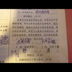 分号算一句话吗 到分号处算不算一句话