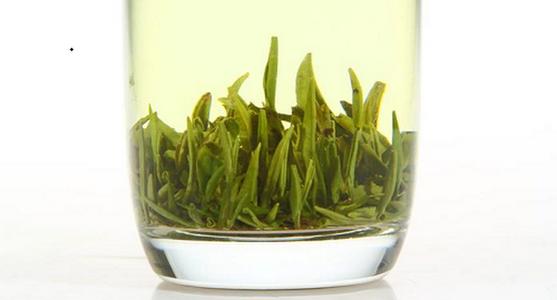 新鲜茶叶可以泡茶喝吗 保持茶叶新鲜小妙方