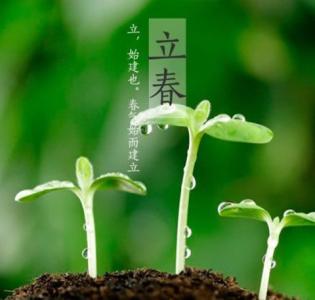 你好,岁月就好什么意思 你好，岁月就好