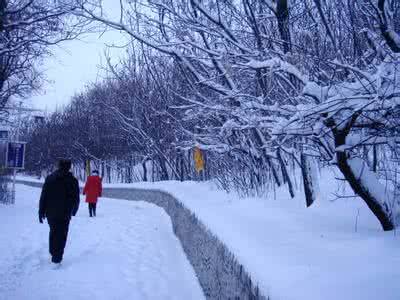 大雪节气 大雪节气吃“三雪”有益身体