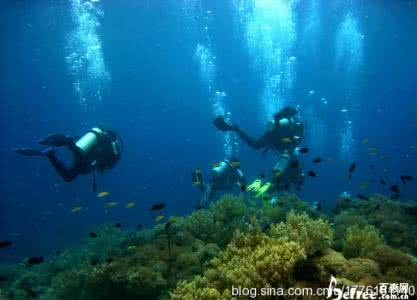 广而“摄”之 / 摄影中的广角