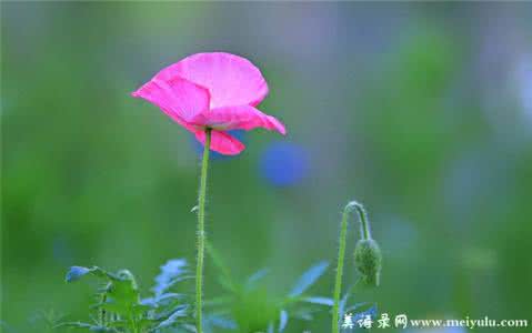 美文美乐美景欣赏 水会永远活着（美文美图美乐）