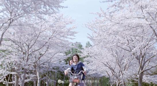 美丽伤感 有一种伤感叫美丽