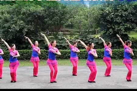 重庆叶子广场舞大全 叶子广场舞 时尚叶子广场舞教学大全