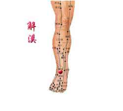 止咳穴位—解溪穴