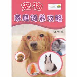 适合家庭饲养的小宠物 家庭饲养宠物 家庭宠物饲养 那些事儿·合订本