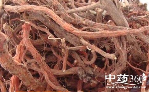 我见过你所有的样子 你什么样子我都见过 见过羊红膻图片的样子吗