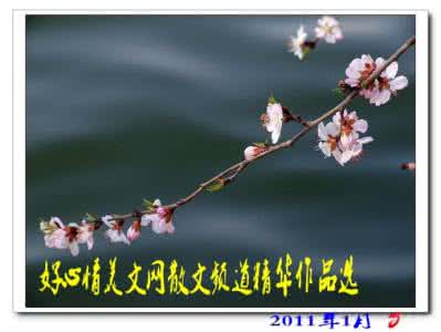 英语励志美文精华双语 （全是精华）心情美文【空间站】  21