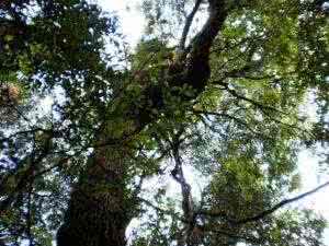 门当户对栏目联系方式 门当户对方能连理枝