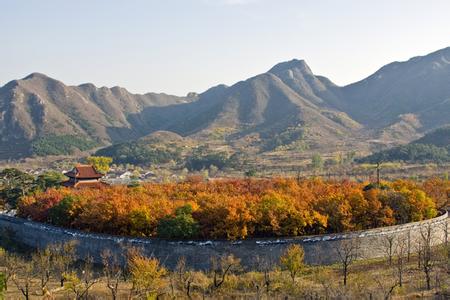明泰陵 明康陵