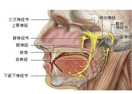 只用一边牙齿吃饭 只用一边牙齿吃饭好吗？长期只用一边牙齿吃饭会怎样？