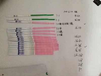 备孕排卵期 备孕没有排卵的原因_排卵期为什么不排卵