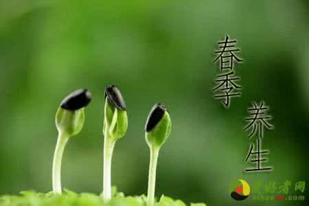 春季养生 春季养生战役 让白领生命充满朝气