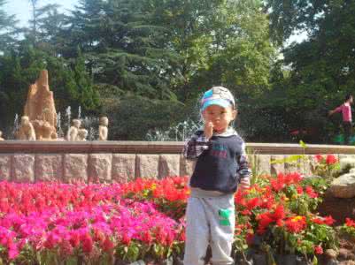 宝宝右脑开发大师 10招开发右脑，让宝宝炼成神童